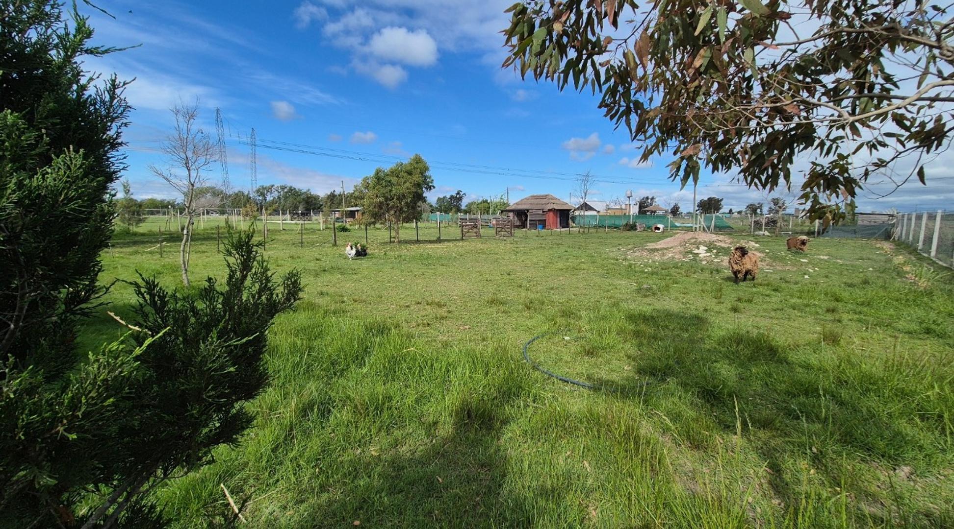 Brandsen Ruta 2 Km 51.5