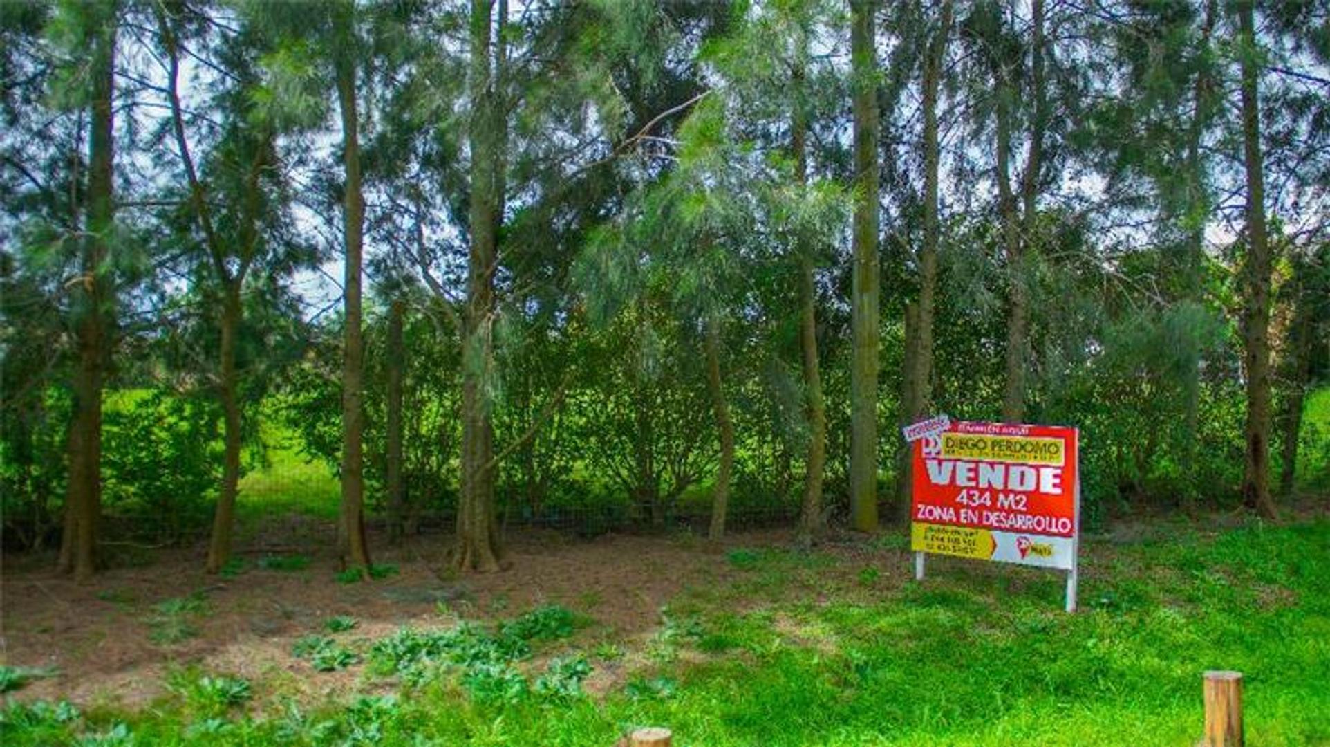 434 m², Libertad. Zona Pintoresca