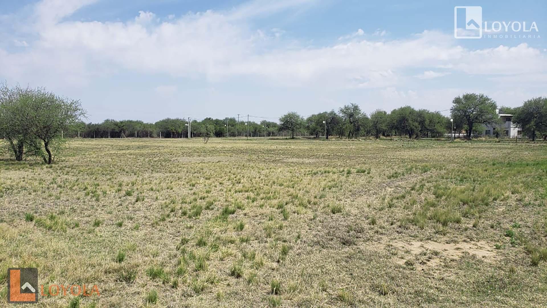 Venta una hectarea en Barrio privado Solares Merlo San Luis
