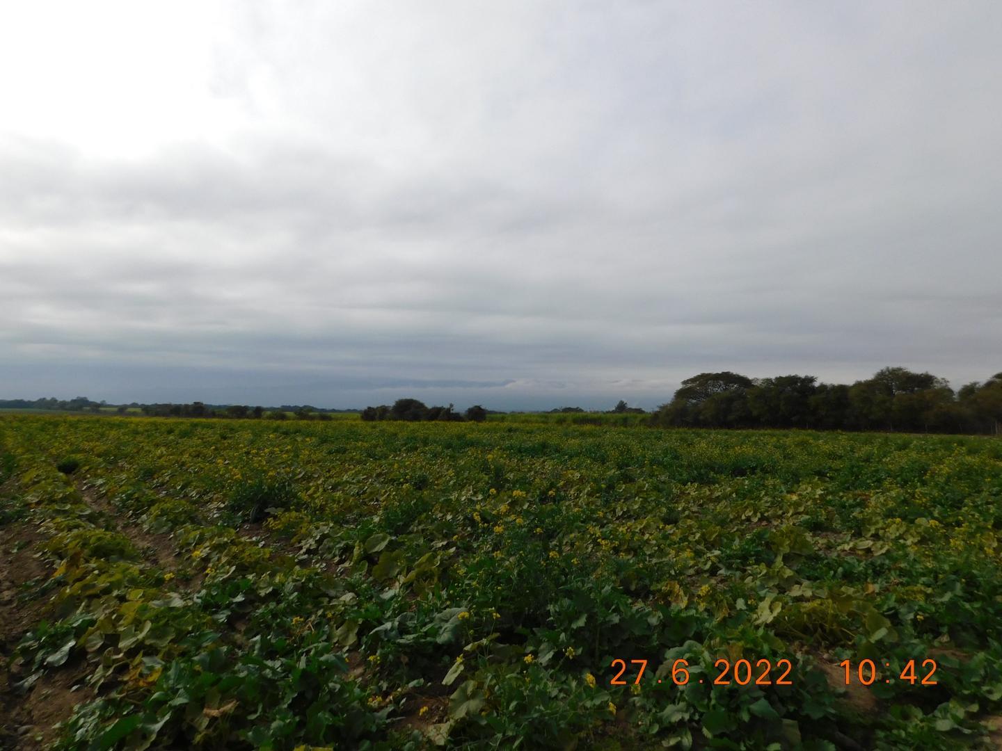 FINCA EN COBOS DPTO. DE GRAL. GUEMES