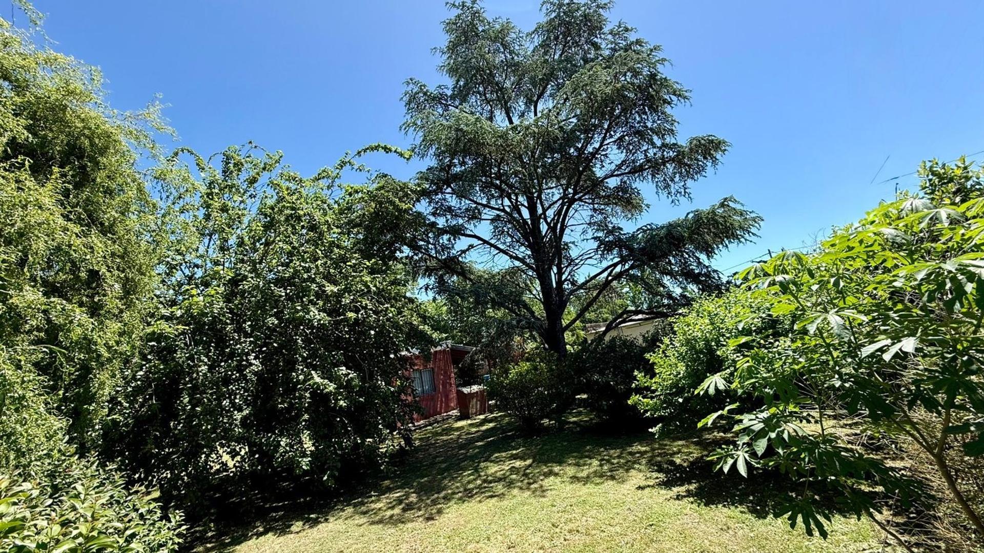 OPORTUNIDAD QUINTA EN VENTA CON AÑOSA ARBOLEDA