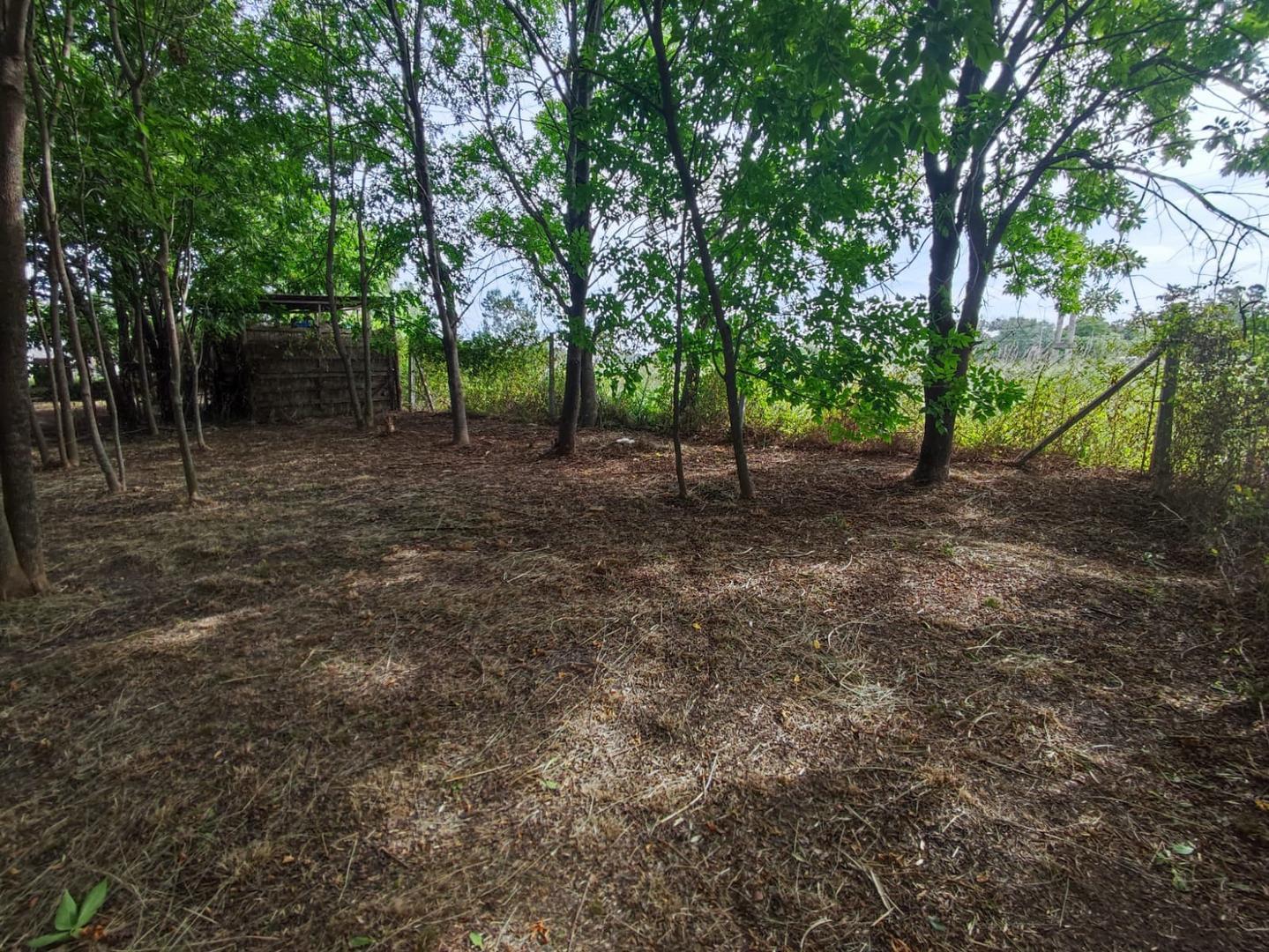 Lote en Los Pioneros