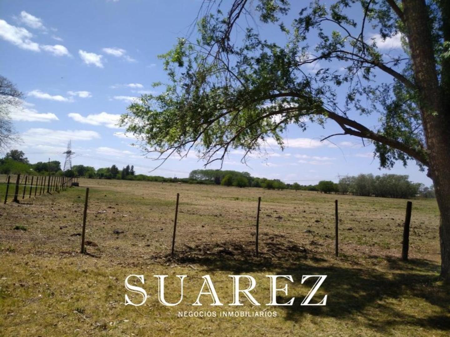 FRACCION 5 HECTAREAS ECHEGOYEN  EN VENTA