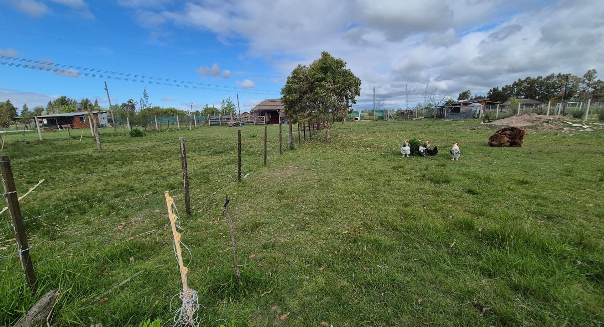 Terreno en Venta en Campos De Roca, USD 39.000