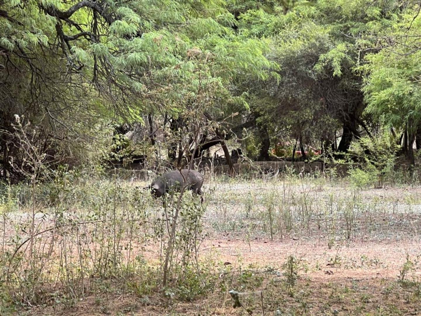 Terreno en Venta de 85550,0 m2