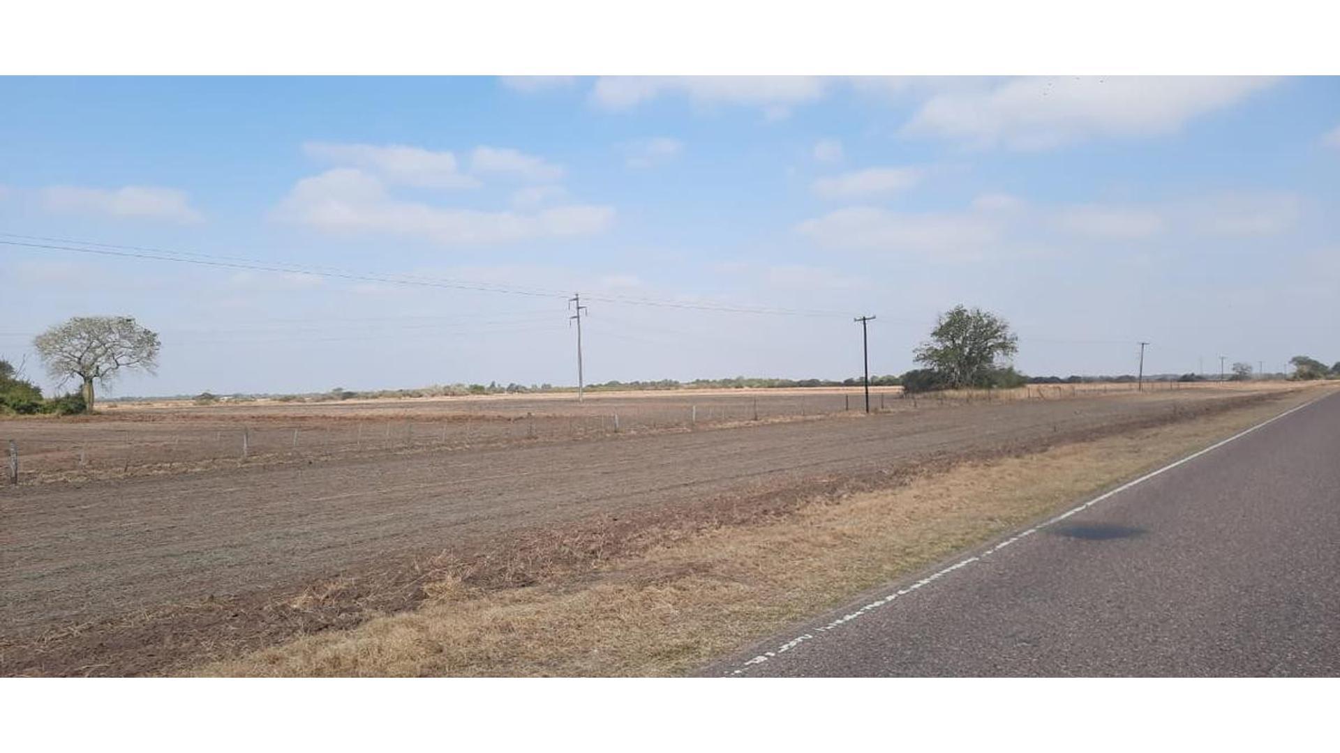 Campo 75Ha. en Venta, Roque Saenz Peña, Chaco, Cod.3005