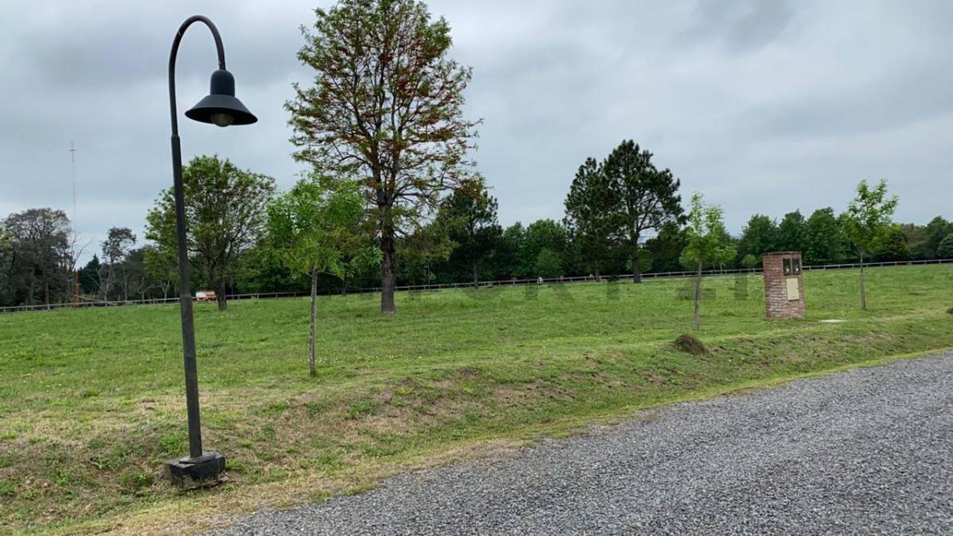 EL CAMPO- FINCAS EXCLUSIVAS CARDALES 400, Piso 0