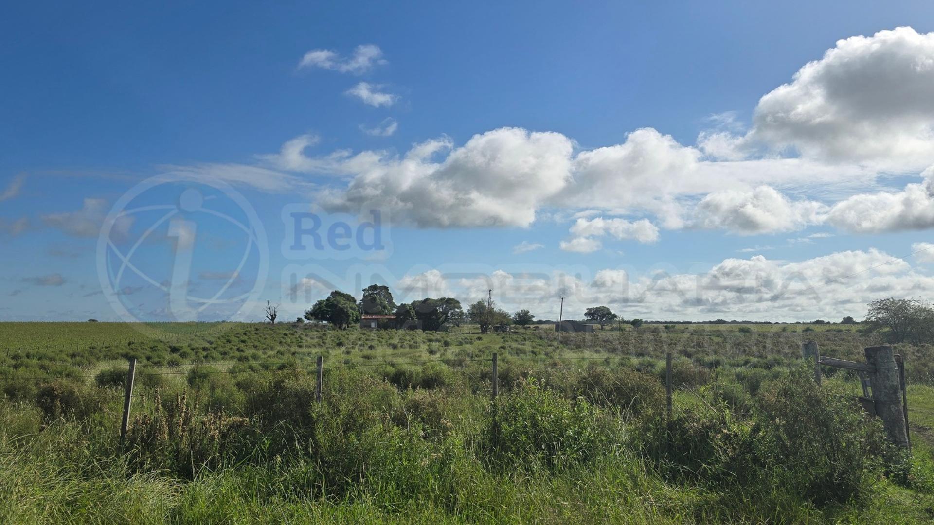 CAMPO EN VENTA EN COLONIA EL POTRERO