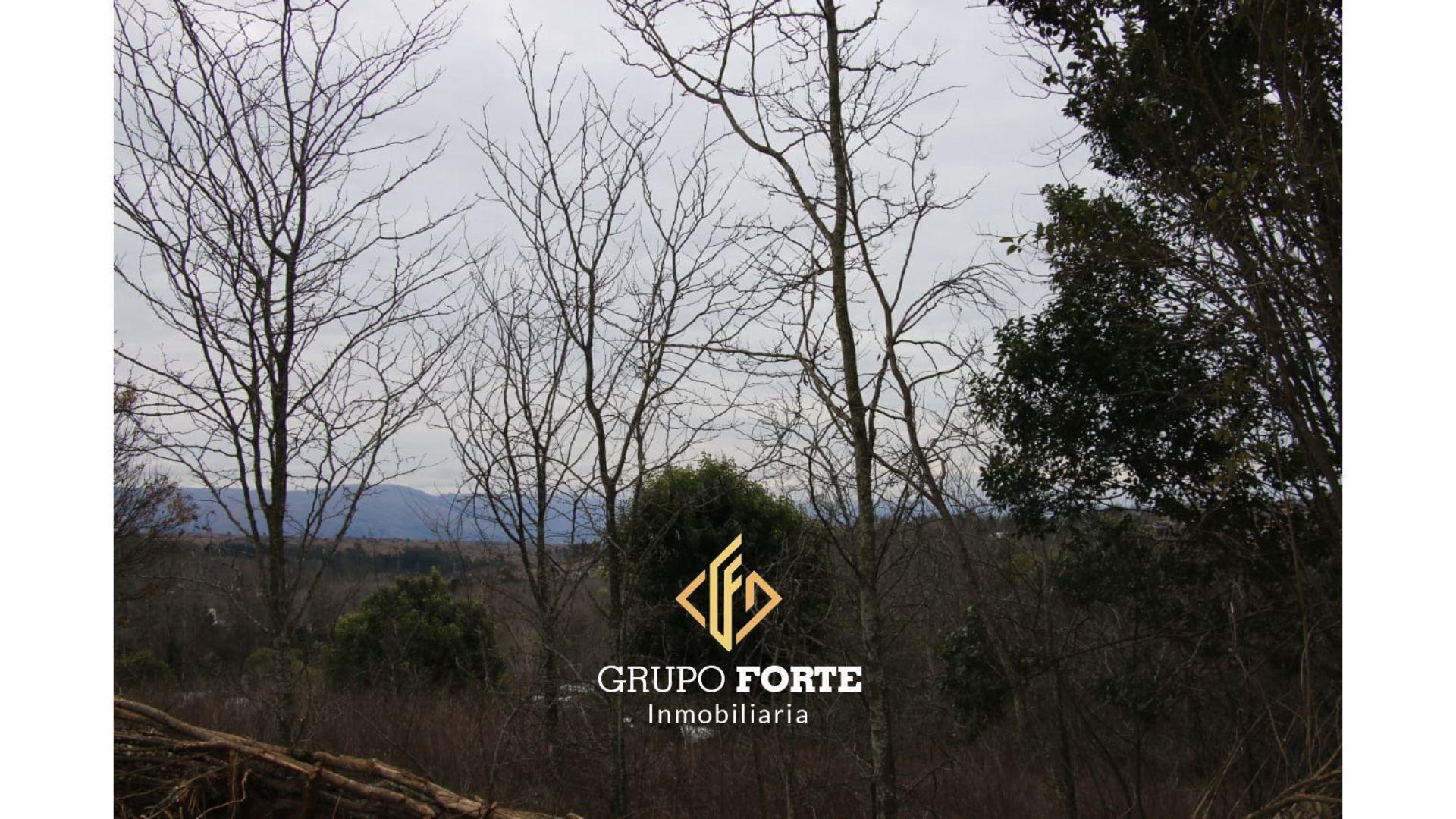 Terreno en Venta de 788,0 m2