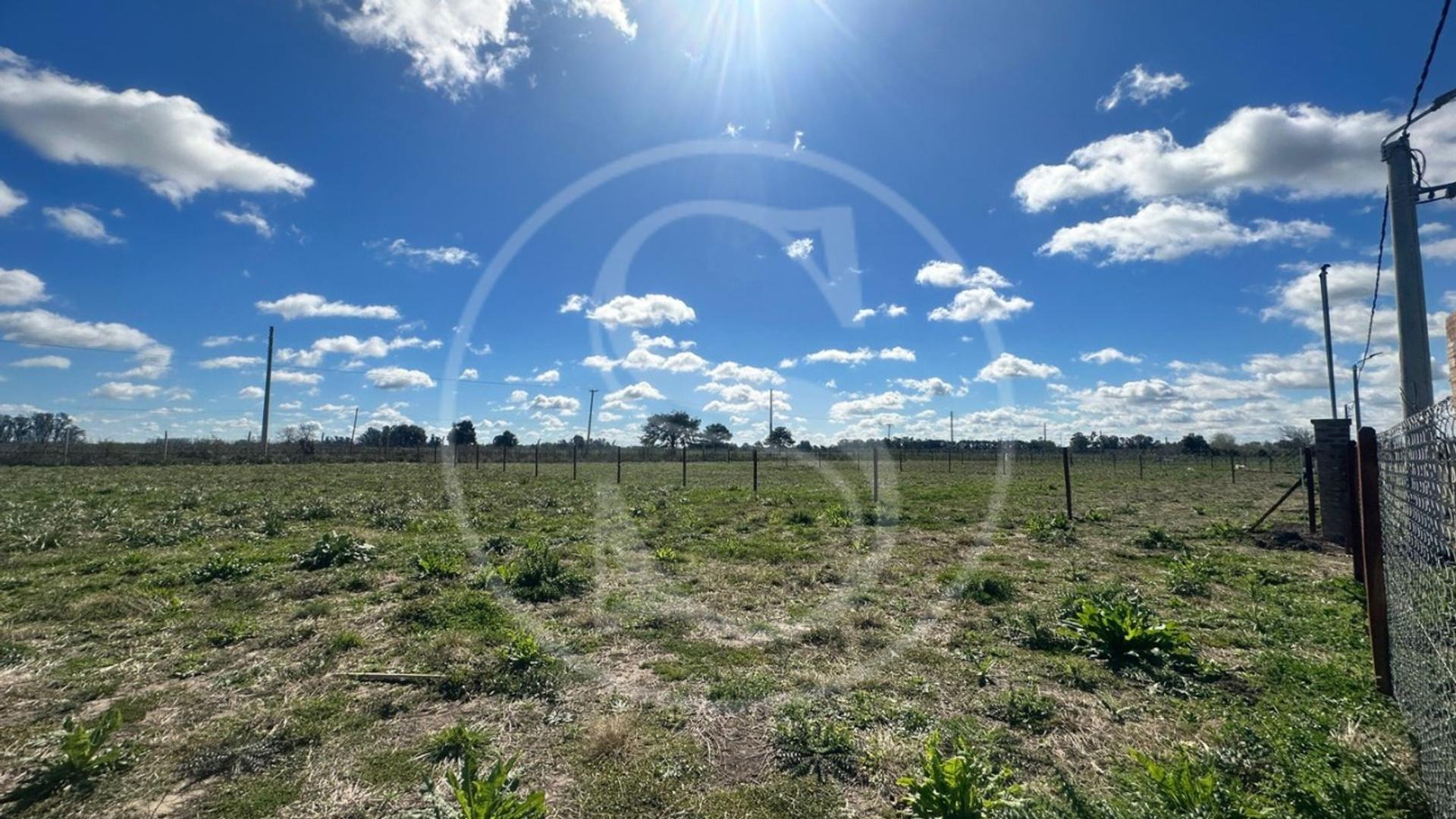 TERRENO EN VENTA LAS ACACIAS EXALTACIÓN DE LA CRUZ
