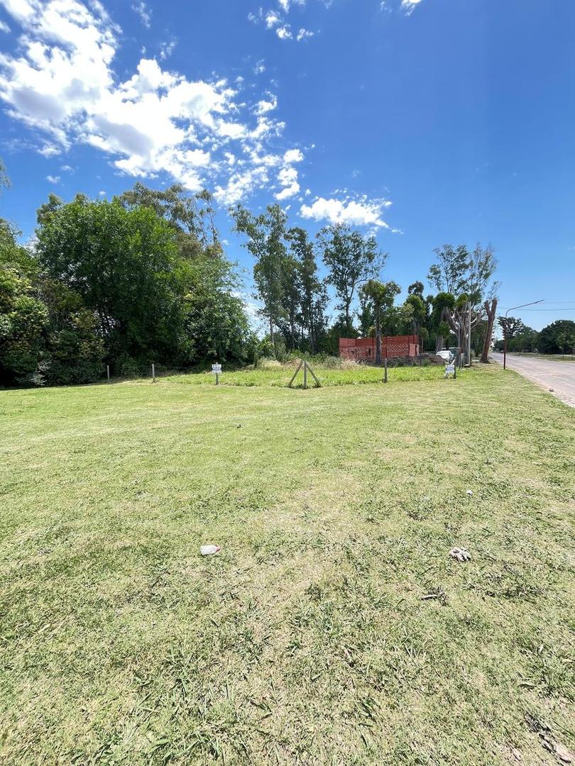 Terreno en Venta 33  mts Fondo