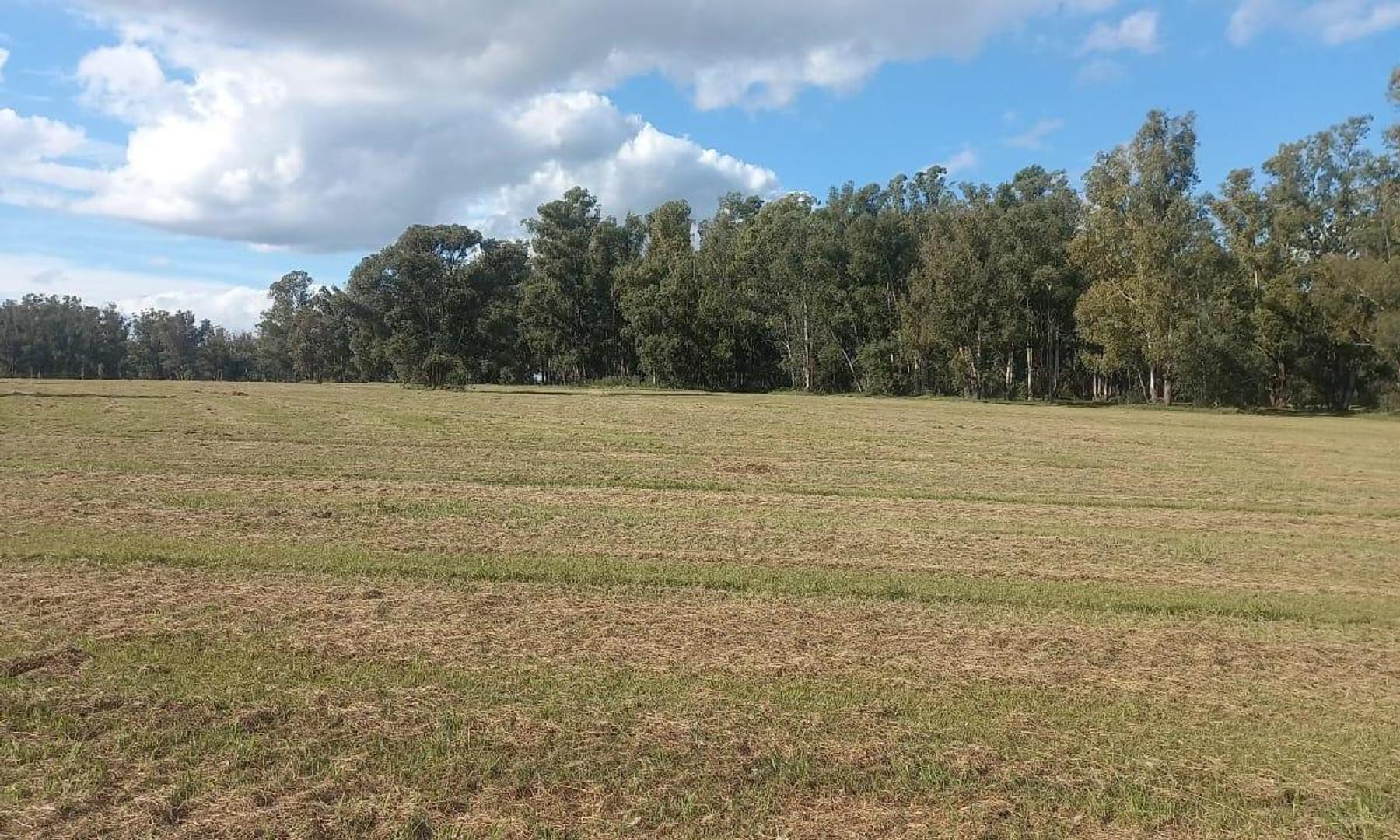 Excelente  Terreno en Venta , Barrio  Quebradas, Villa Rural