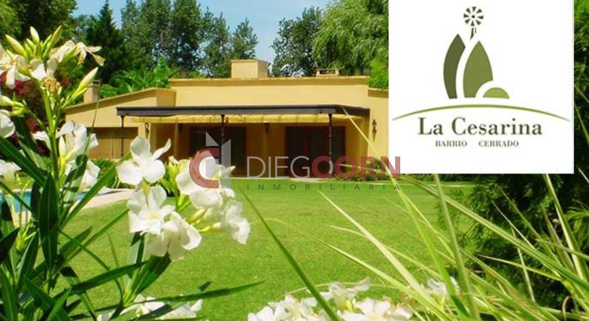 Terreno en Venta de 800,0 m2