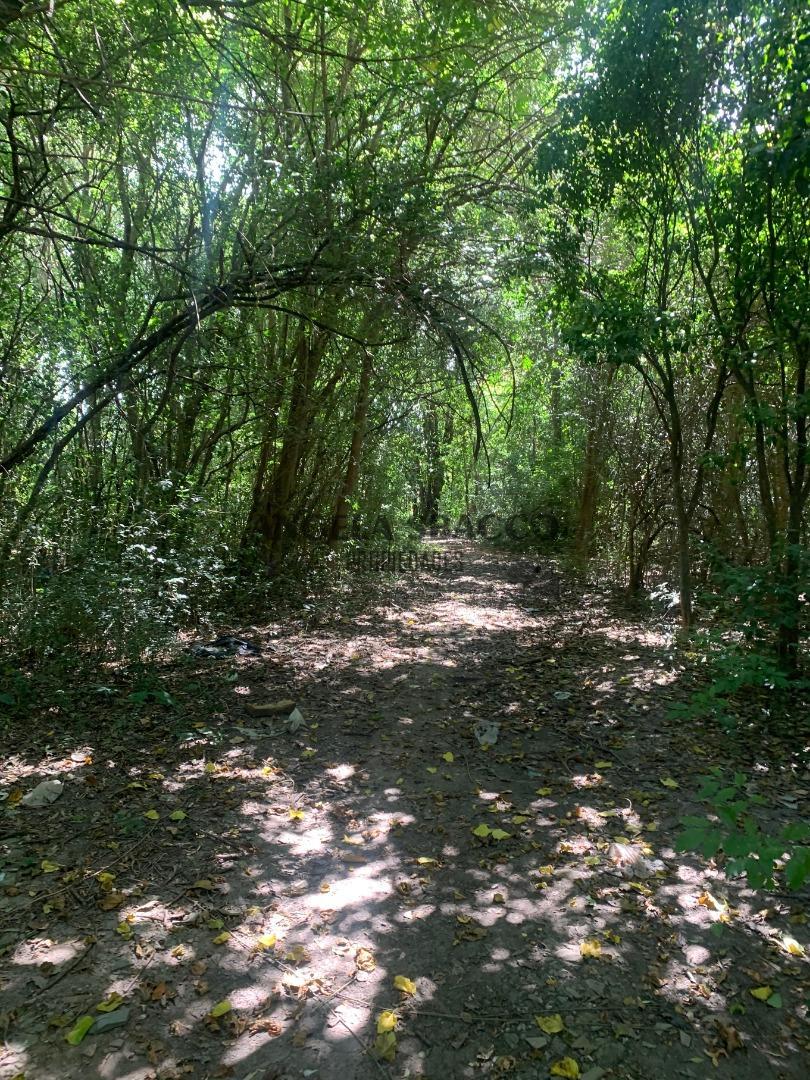 Córdoba, Open Door.