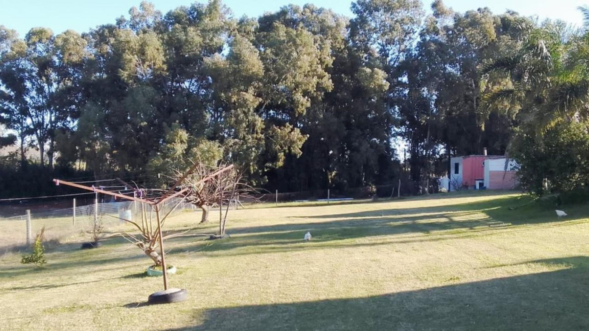 Chacra Estupenda en Riachuelo sobre Ruta 1