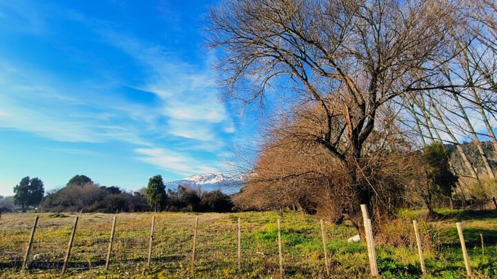 camino viejo