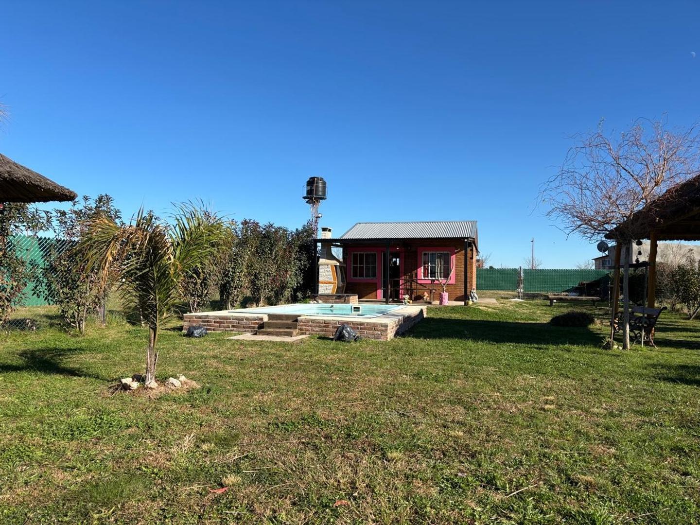 Olga Cosenttini 5221