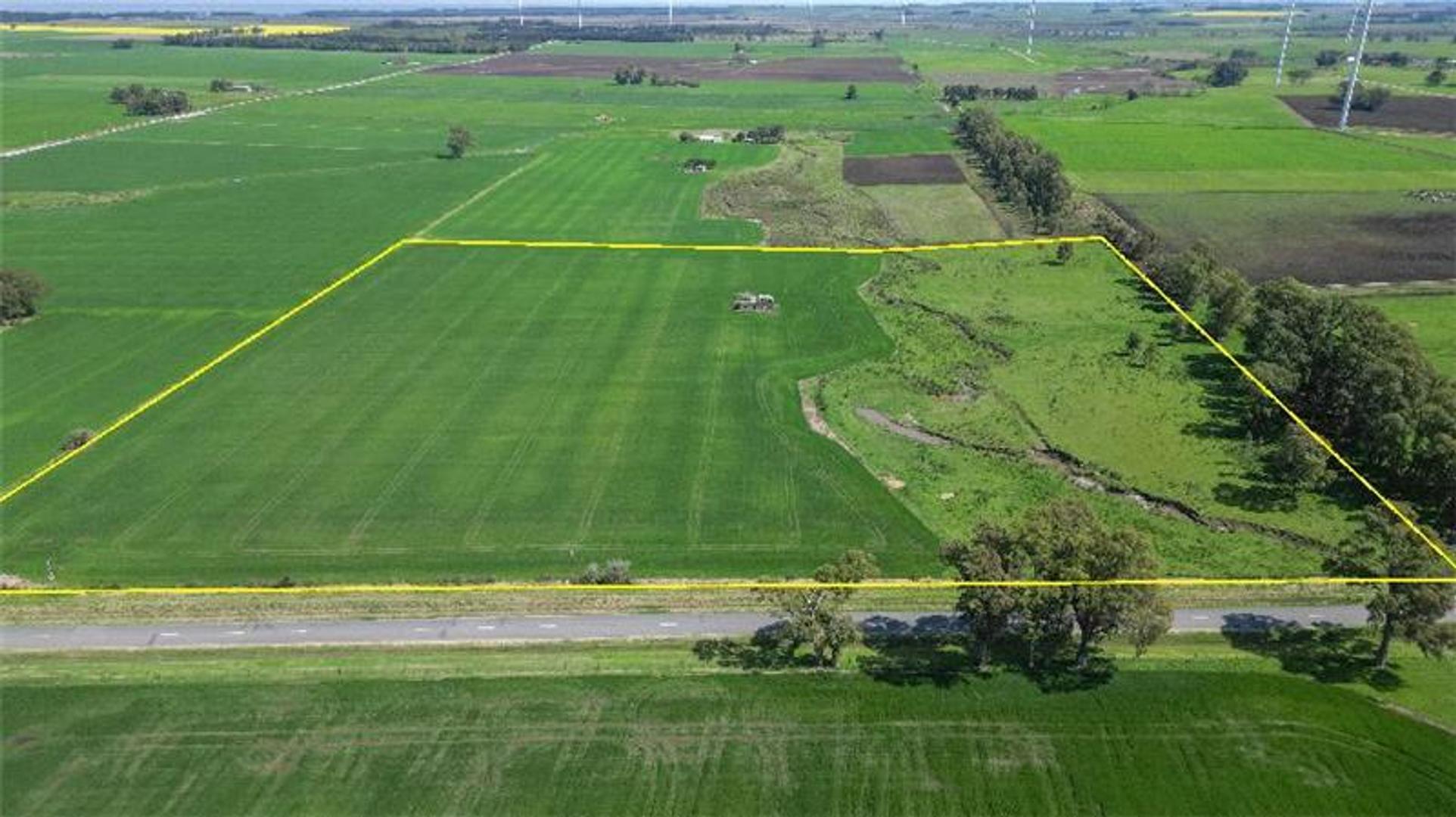 Campo en Venta Chacra