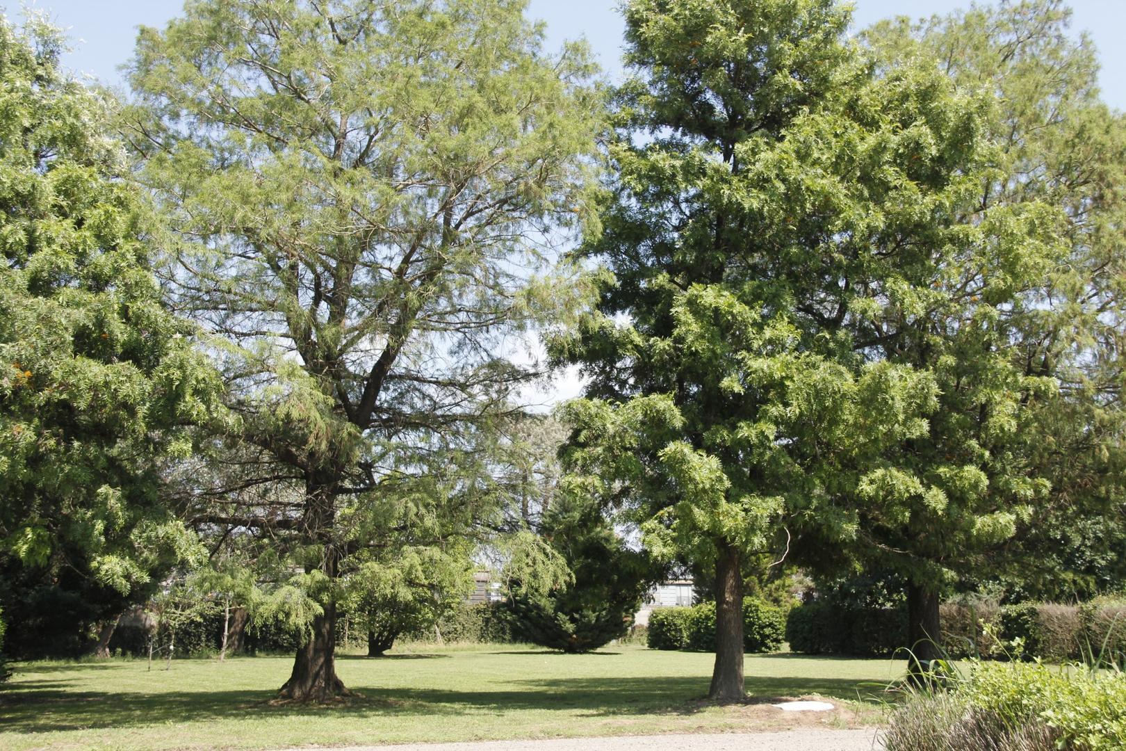 AMPLIO TERRENO EN BARRIO PRIVADO SAN LORENZO