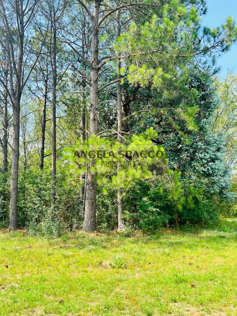 Terreno en Venta en Los Pinos, USD 35.000