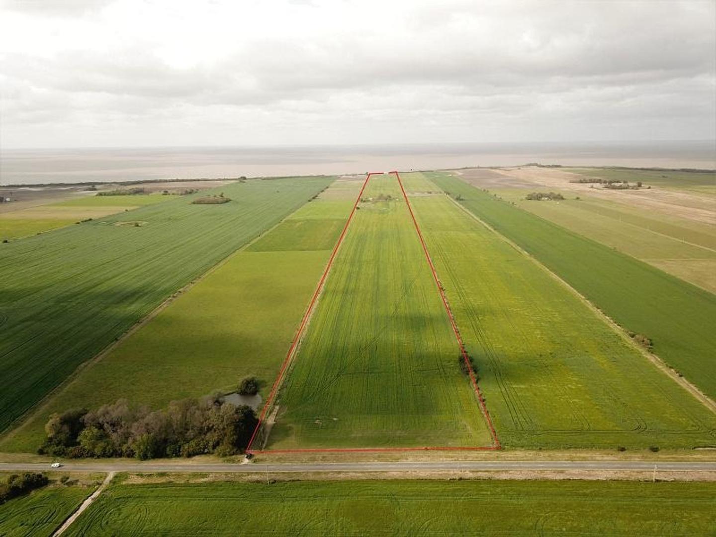 Camino De La Balsa S/n (altura Km 152,500)