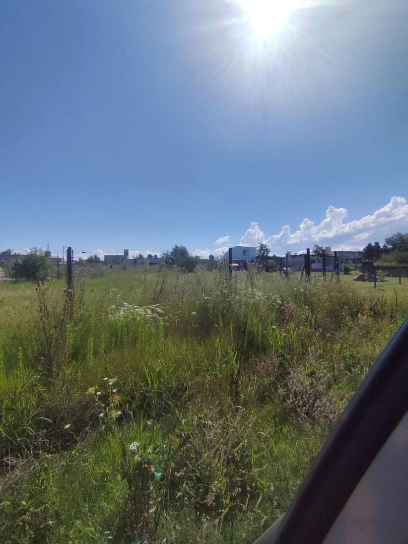 LOS ESPINILLOS, POTRERO DE GARAY