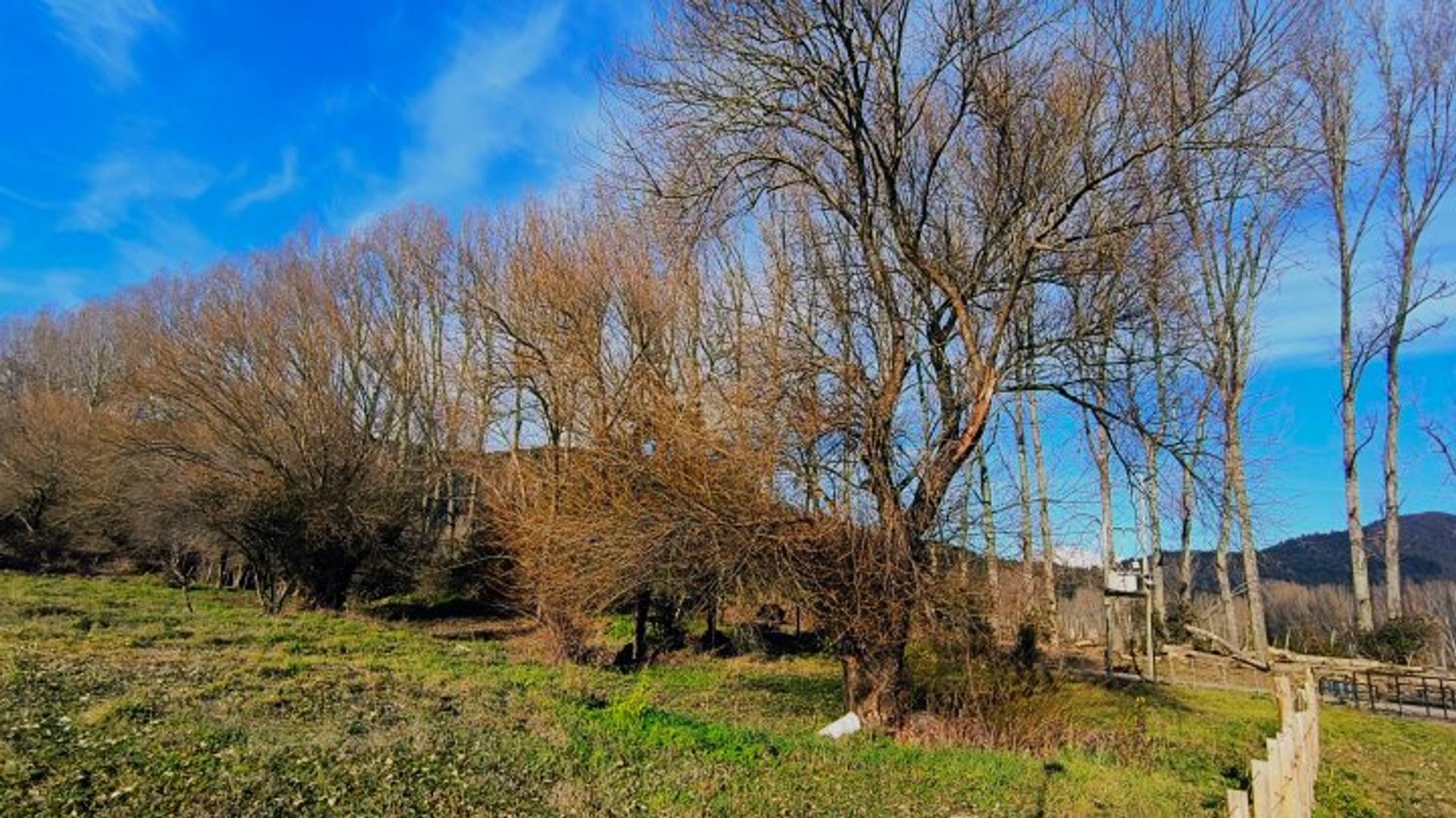 Terreno en Venta en Cushamen, USD 40.000