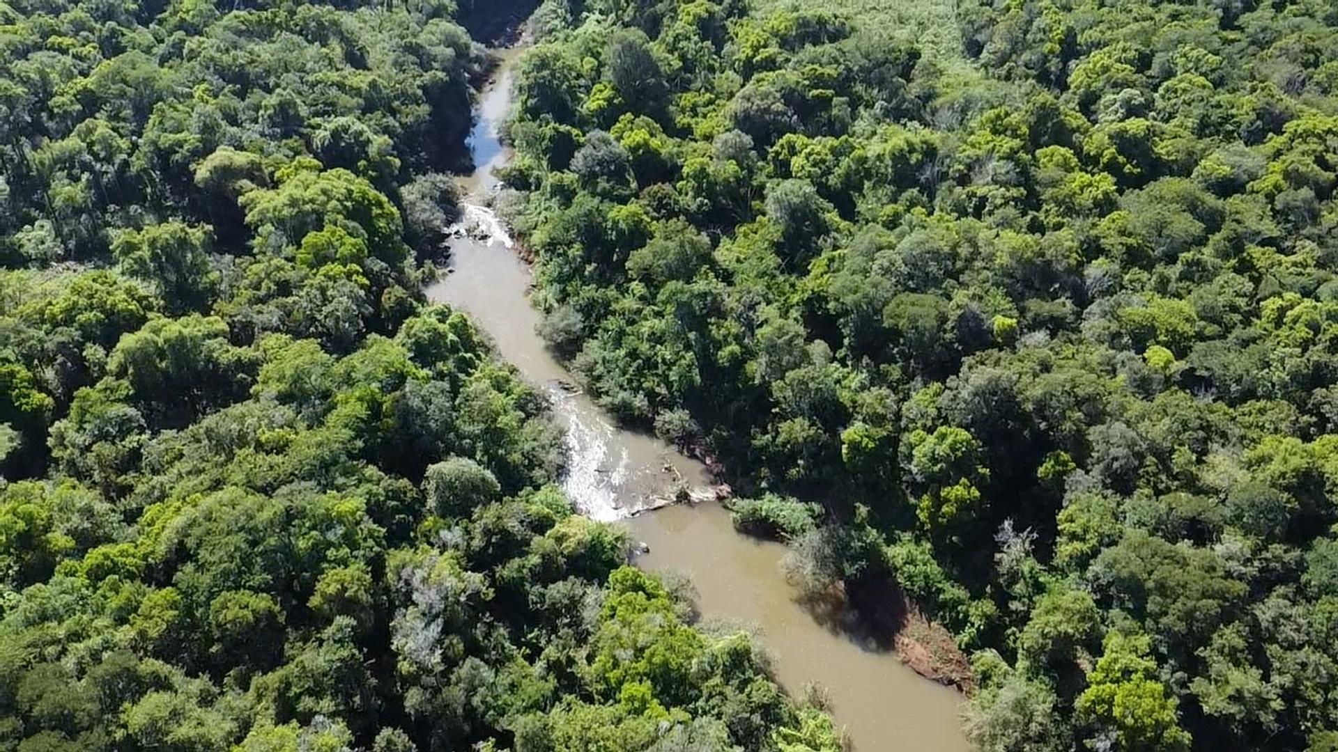 ESPECTACULAR  CHACRA  60 HAS con Arroyo