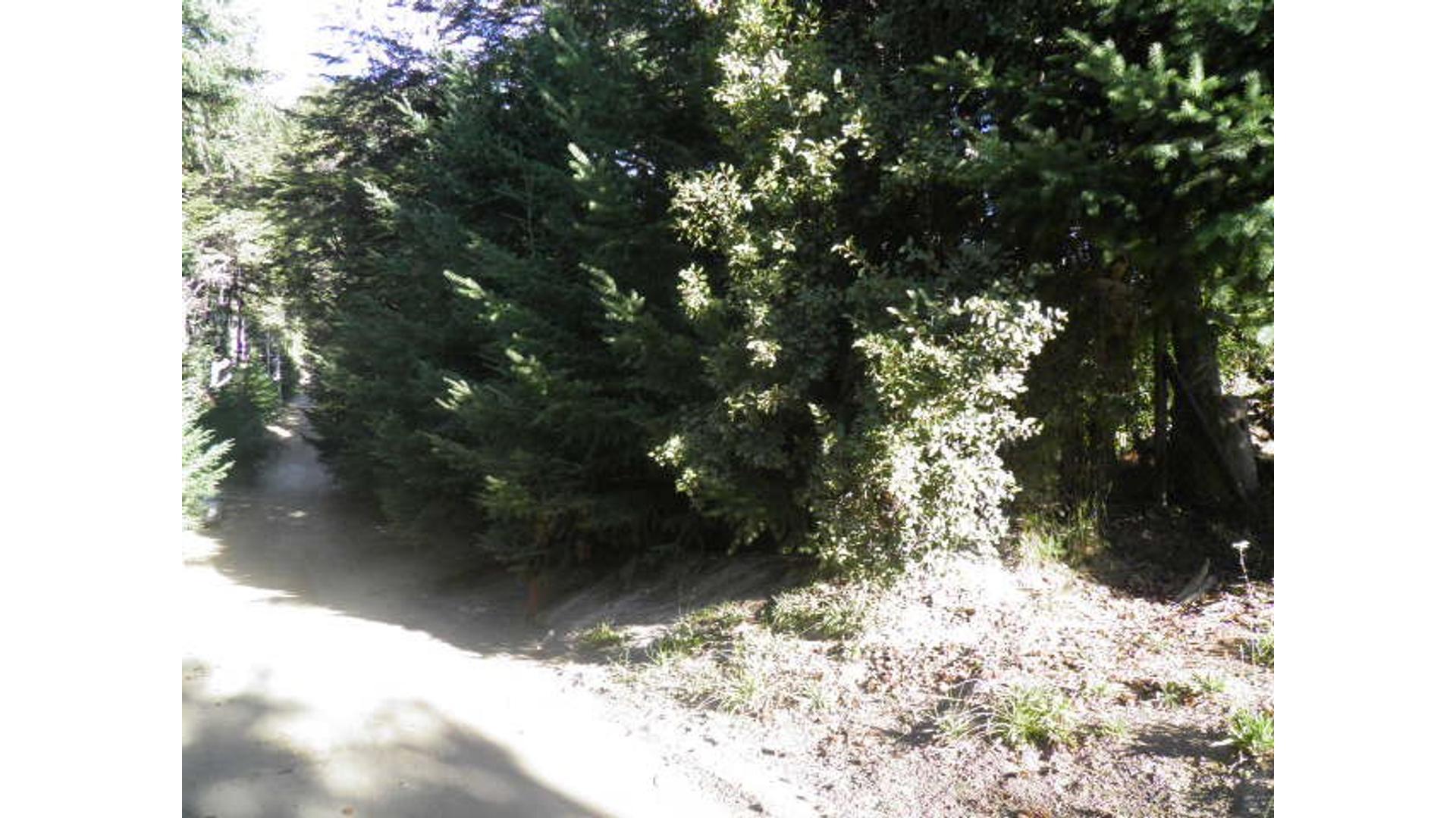 Lote en Altos Puerto Manzano