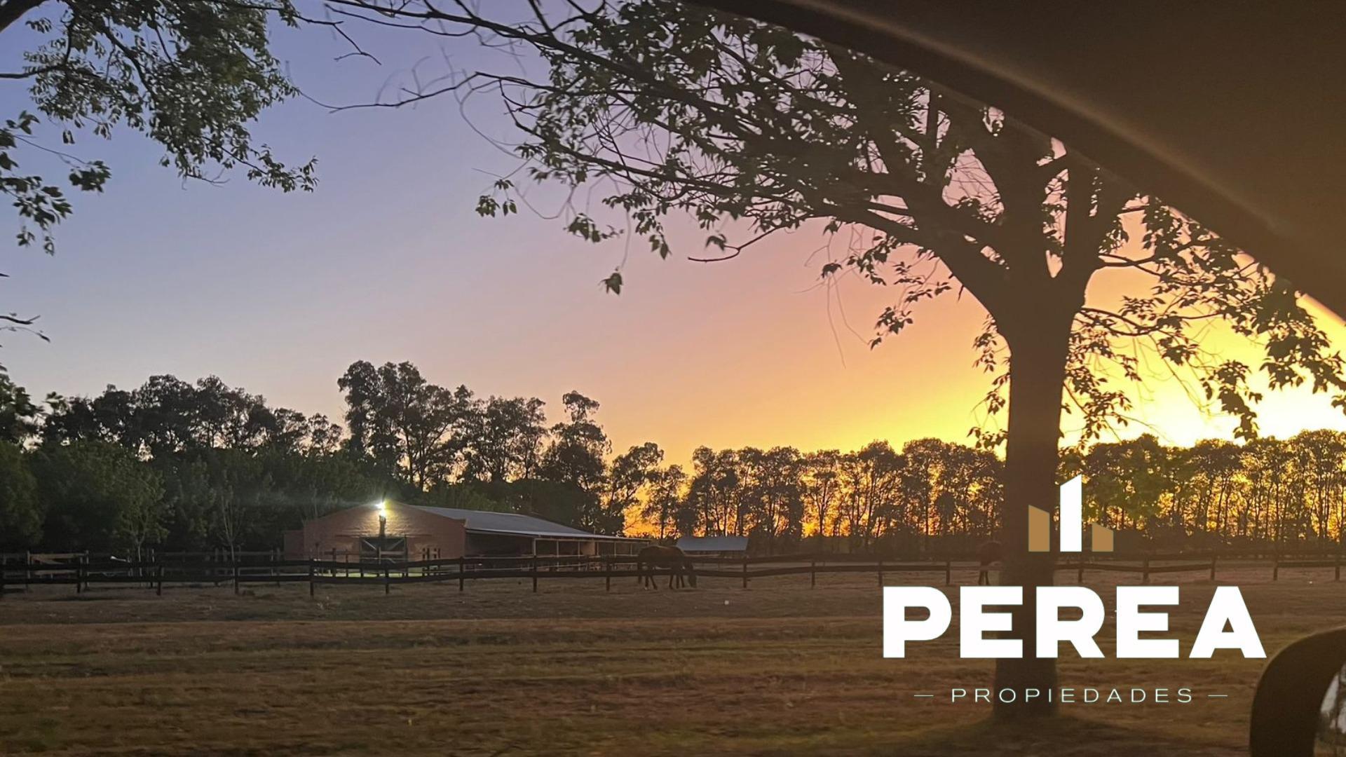 Lote en Haras San Pablo