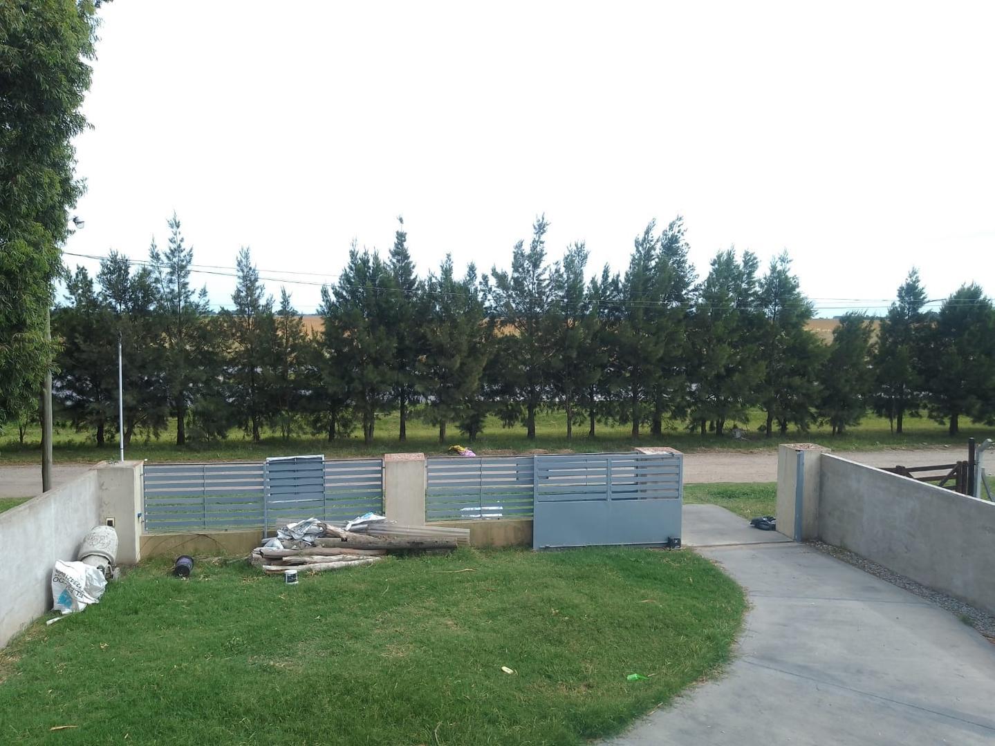 Peninsula Antartica 1200