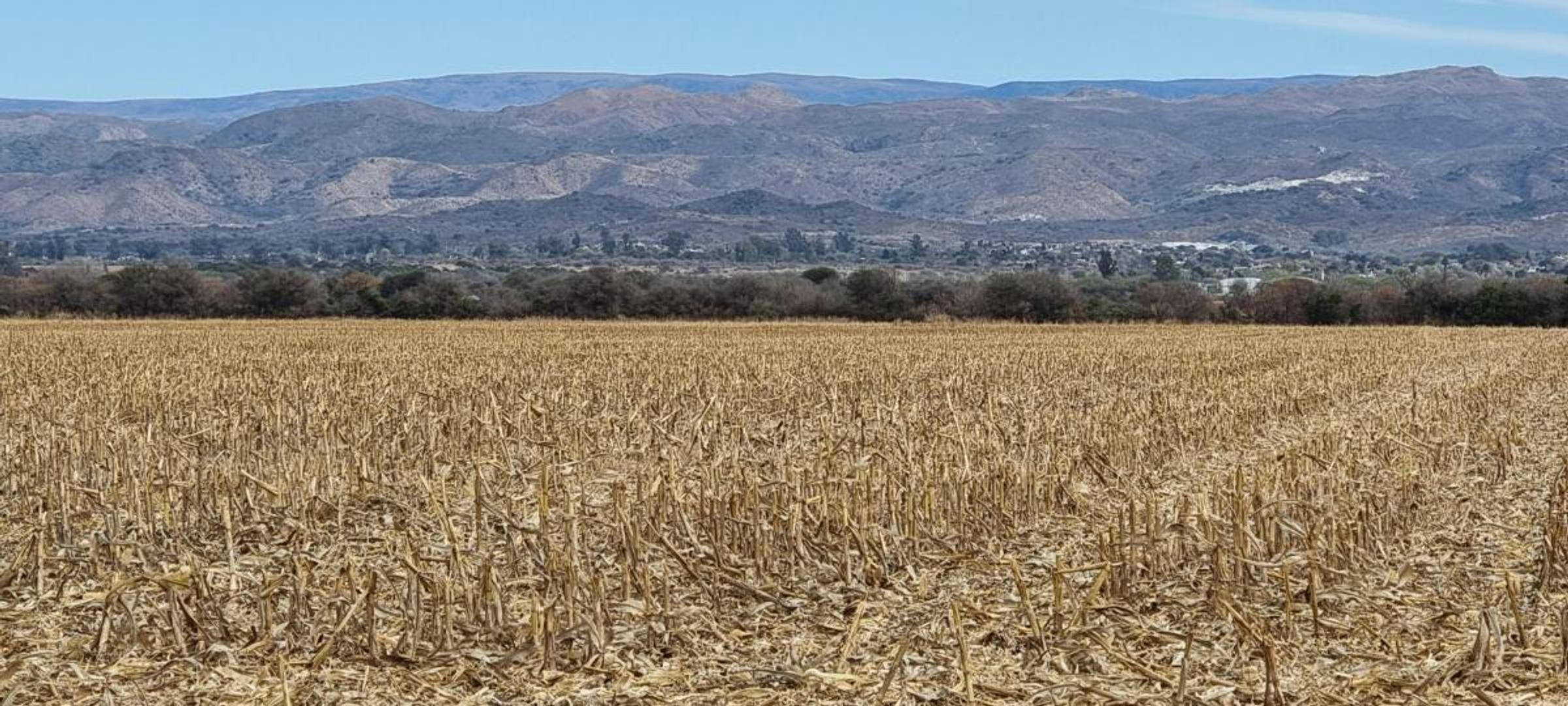Venta Campo 7 has. Sobre ruta a  Alta Gracia