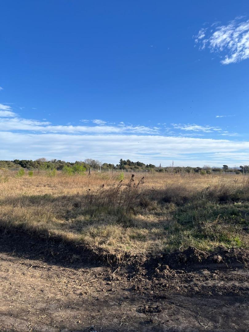 Terreno en Venta de 438,0 m2