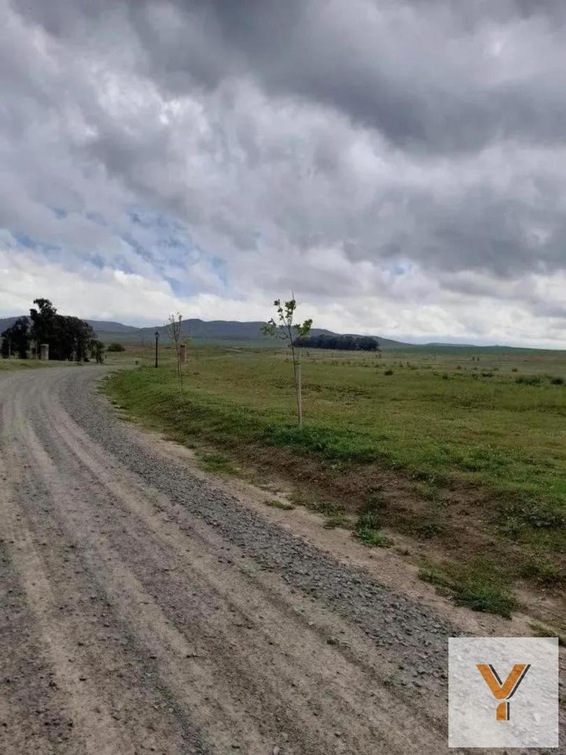 Terreno en Venta de 800,0 m2