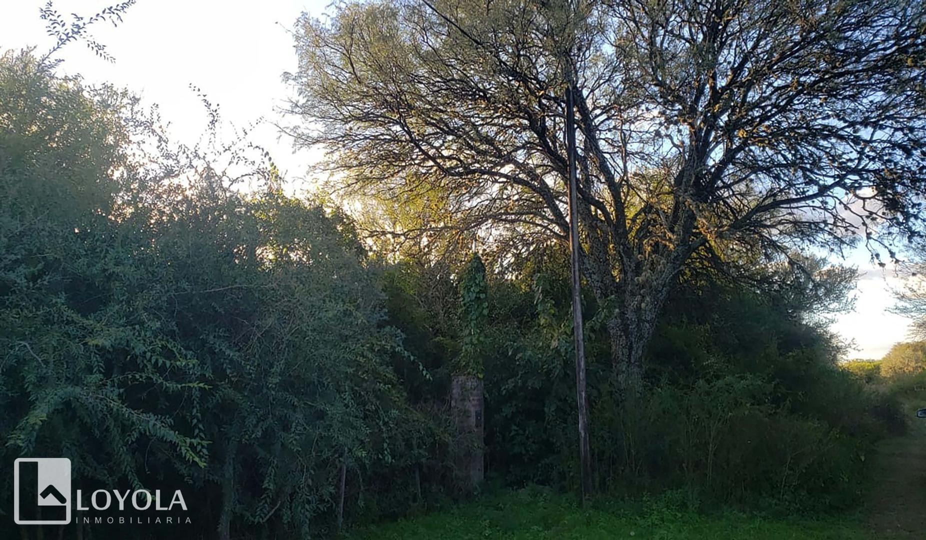 Terreno de 1791 m2 a pocas cuadras del centro de Carpinteria