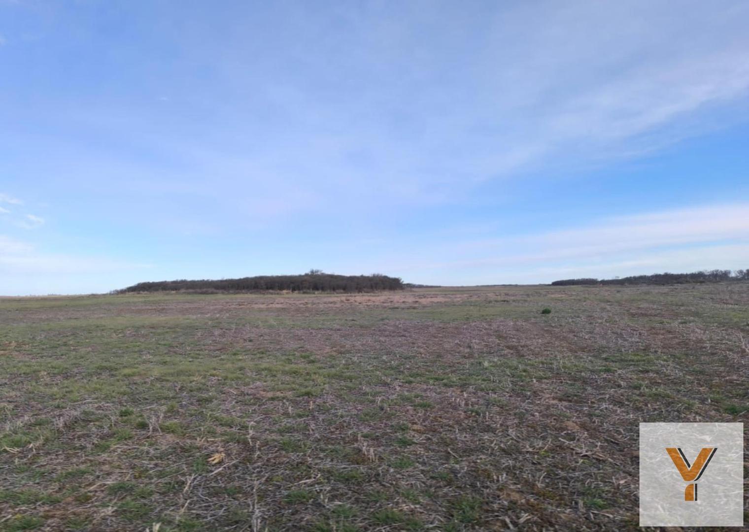 Campo en venta - 940 Hectáreas - San Luis