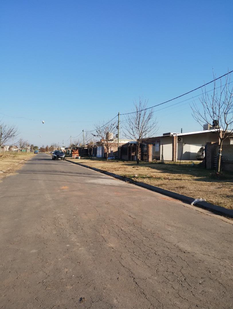 Silvestre Begnis 1000