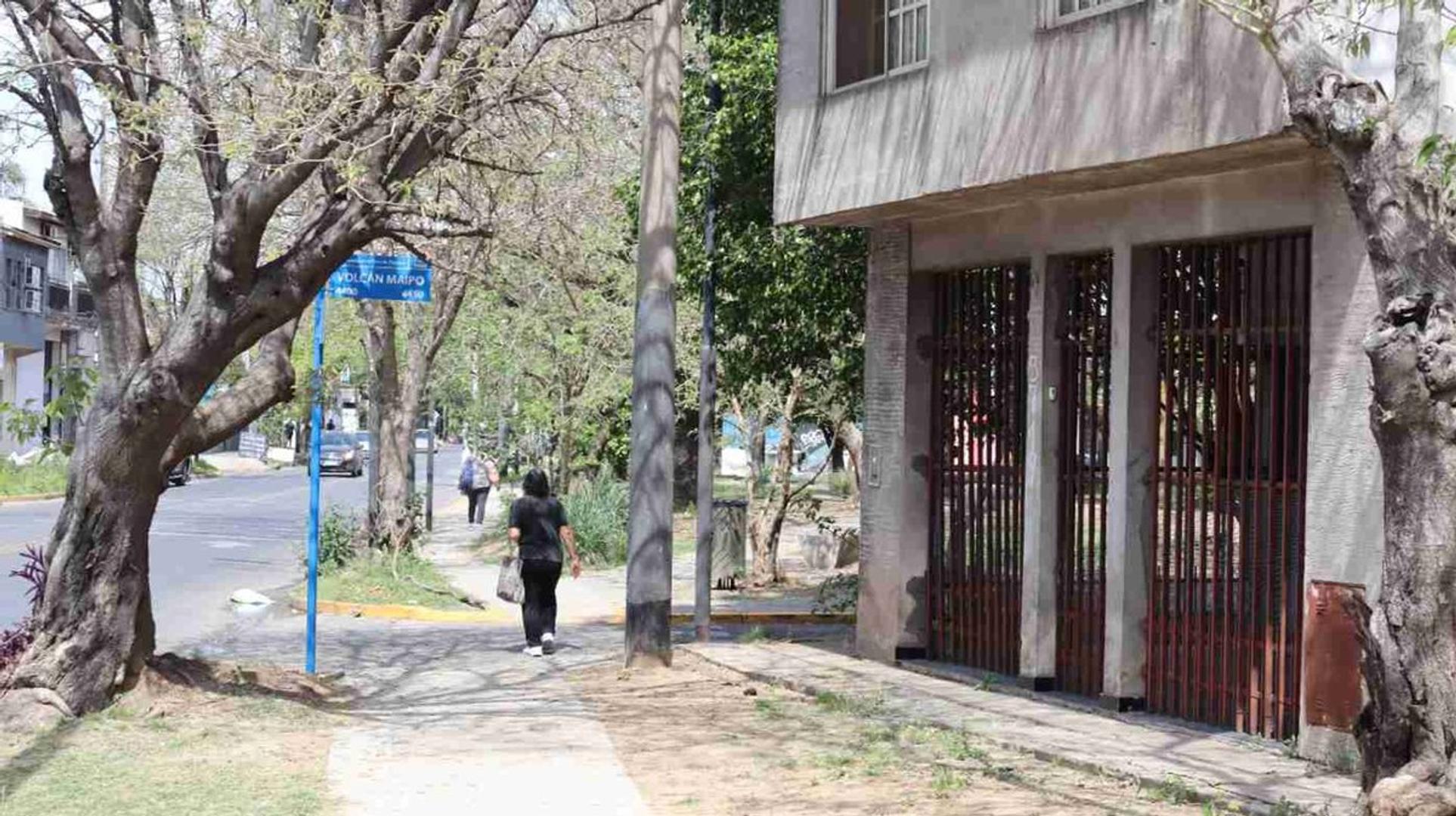 Lisandro de la Torre 3700