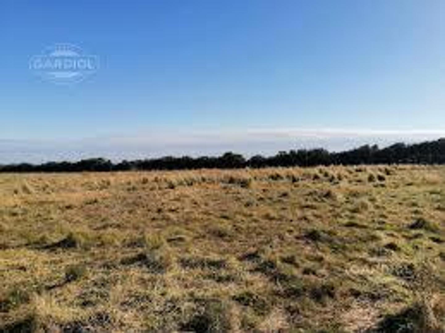 122 ha Ganderas en Venta - Herrera - Sgo del Estero