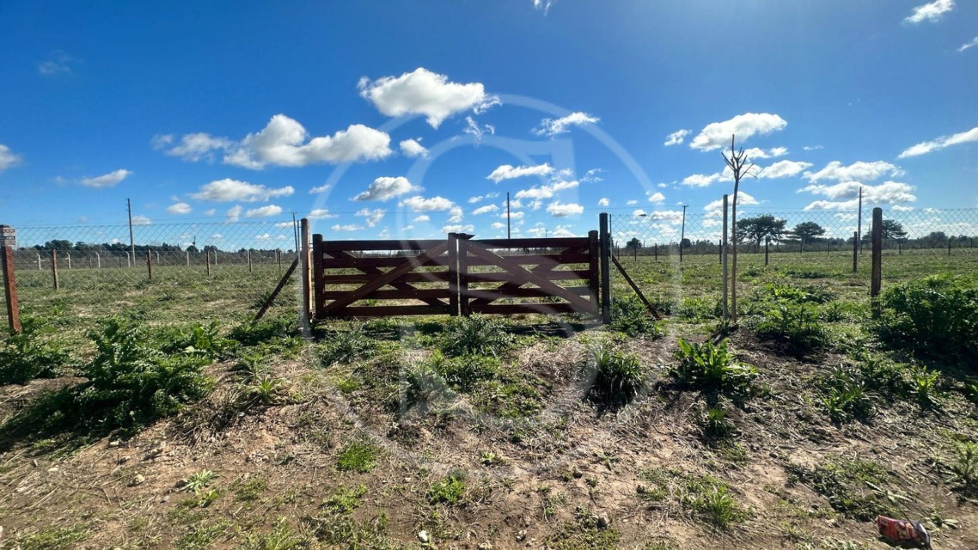 TERRENO EN VENTA LAS ACACIAS EXALTACIÓN DE LA CRUZ