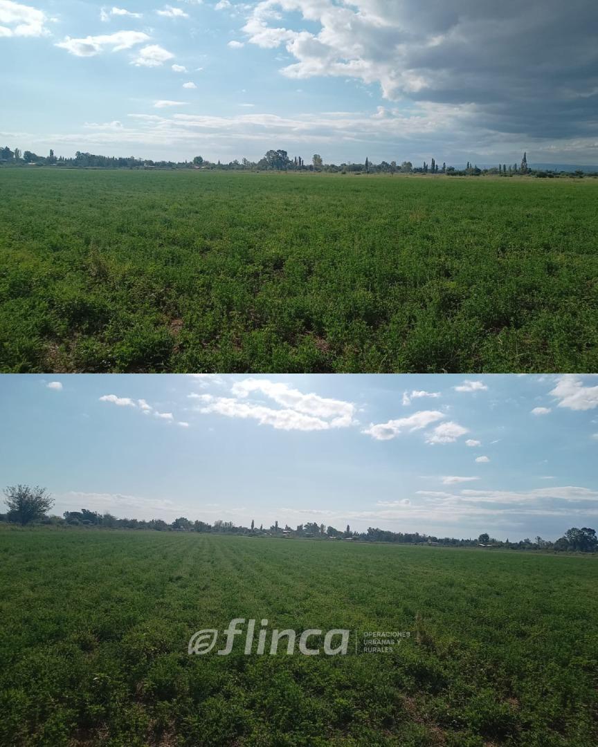 Consultar dirección