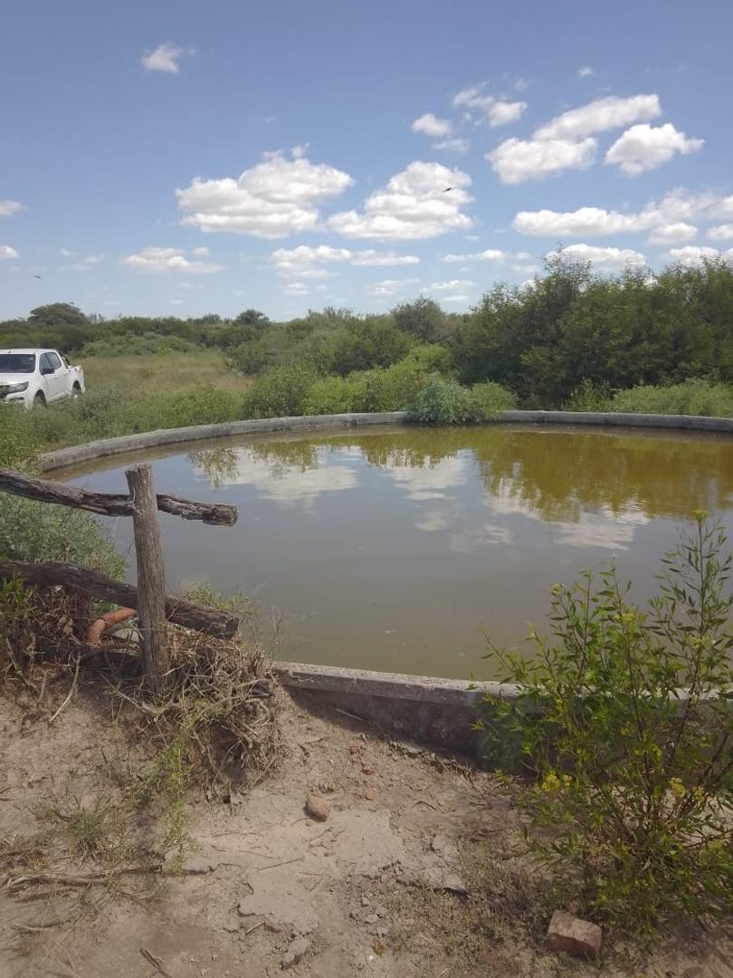 ALQUILER O VENTA CAMPO GANADERO LA CABRAL SAN CRISTOBAL