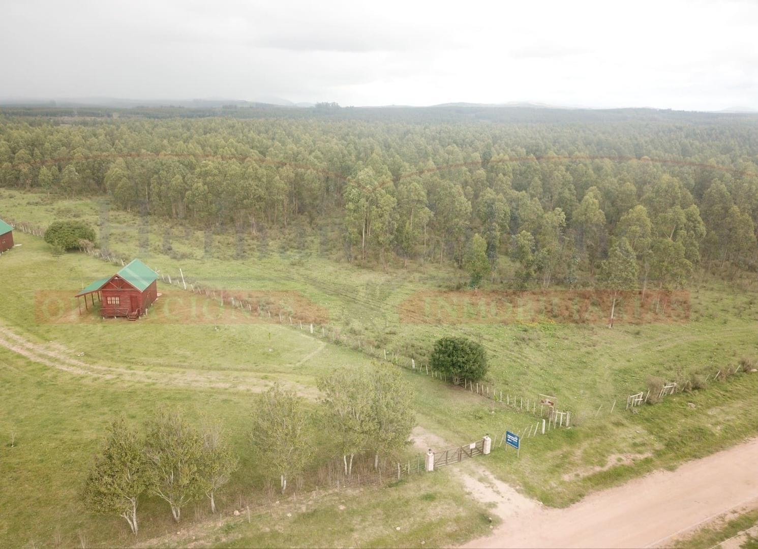 EXCELENTE CAMPO 13 HAS CON CABAÑAS EN MALDONADO, URUGUAY
