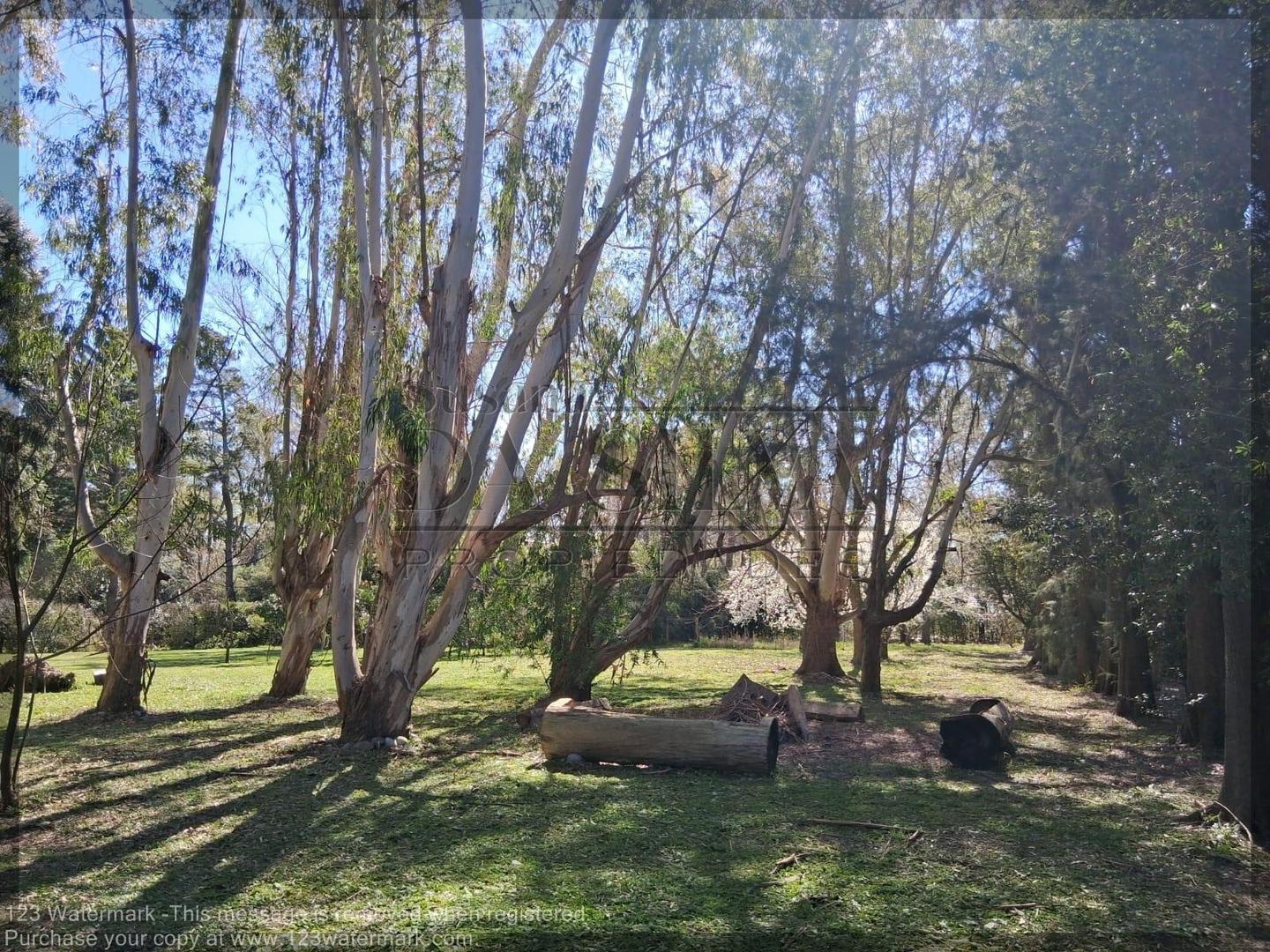 Precioso Terreno Forestado en Club de Campo El Moro. Marcos