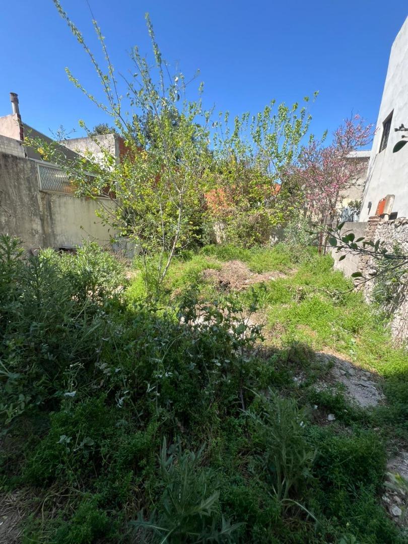 Arregui 3900, Piso pb