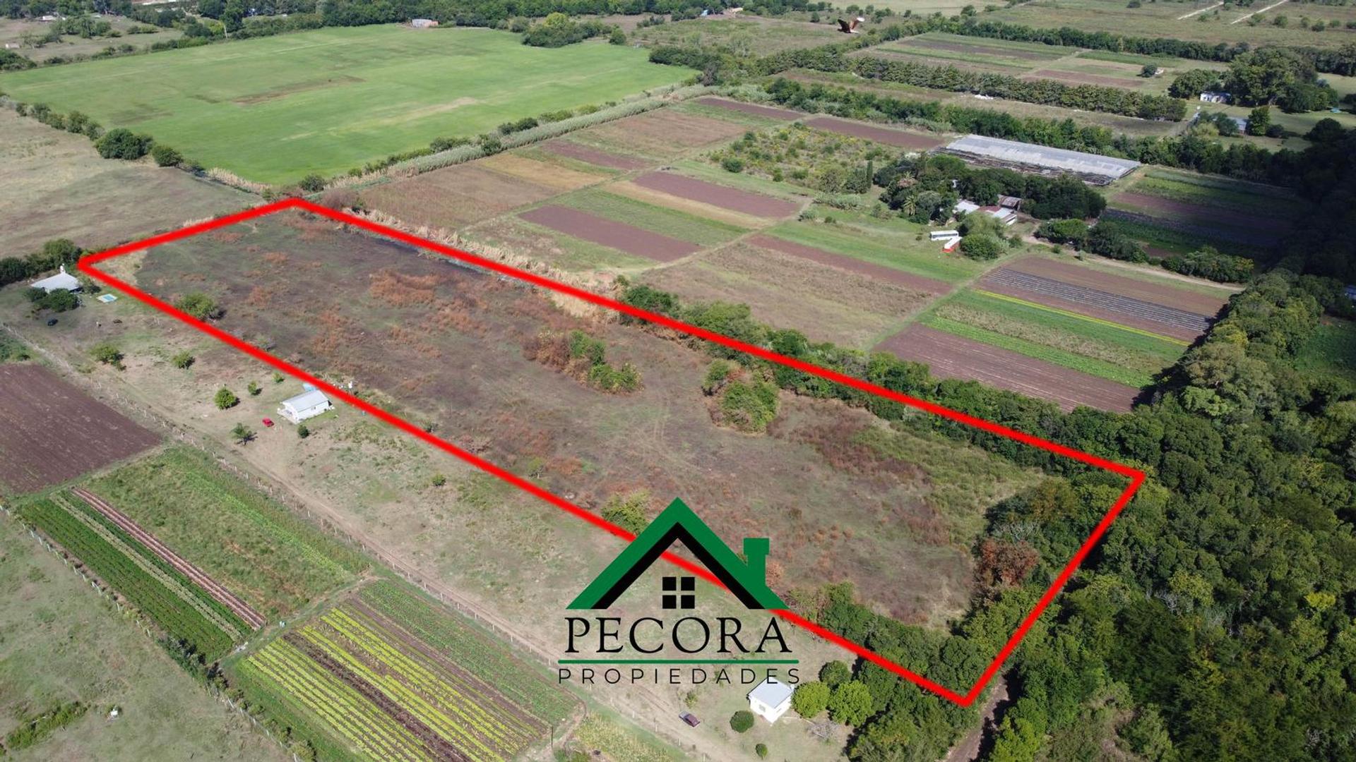 San Lorenzo - General Paz - al 4400 - Escobar