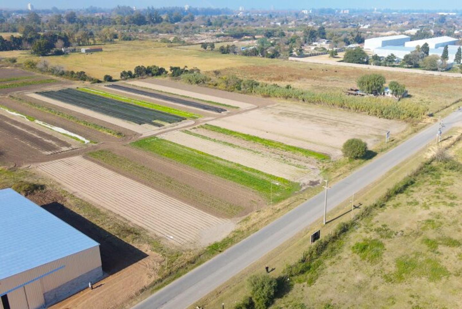 Terreno en Venta 33  mts Frente