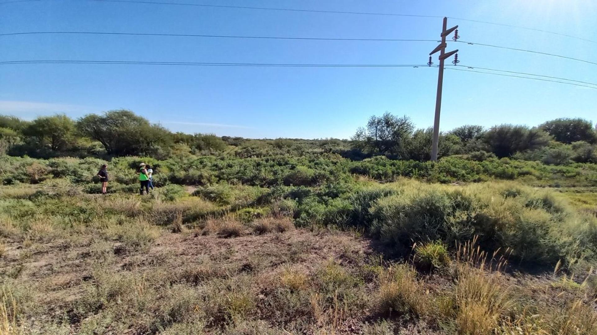 VENTA TERRENO 4.700 M2 RUTA Nª7 LA PAZ MENDOZA