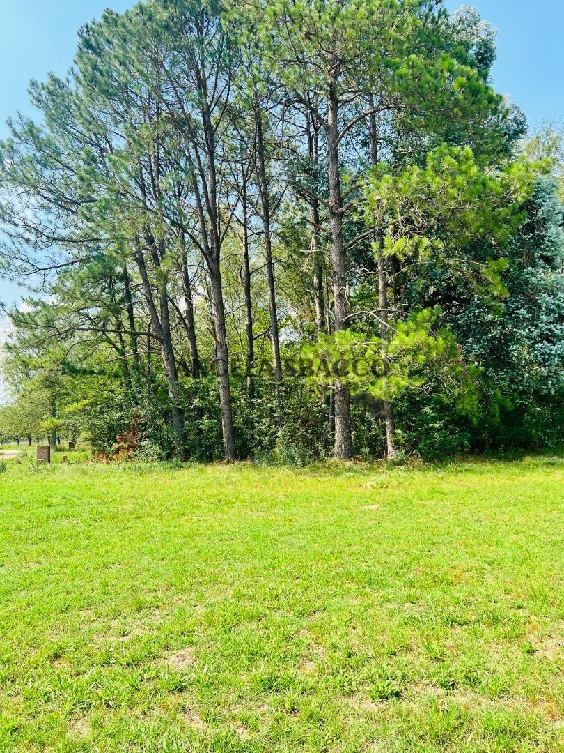 Terreno en Venta de 1600,0 m2