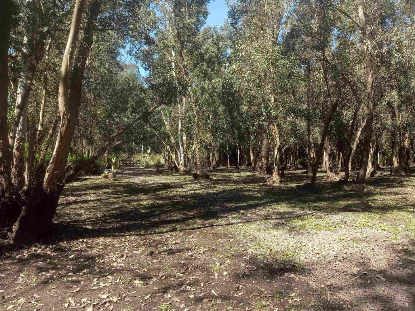 Terreno en Venta de 2300,0 m2